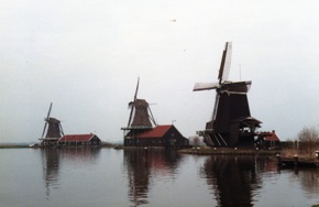 REDOUTE ZANOISE